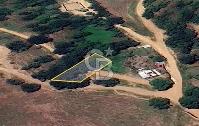 BURSA İNEGÖL'DE KEYİFLİ & YATIRIMLIK 482 m² MÜSTAKİL BAHÇE