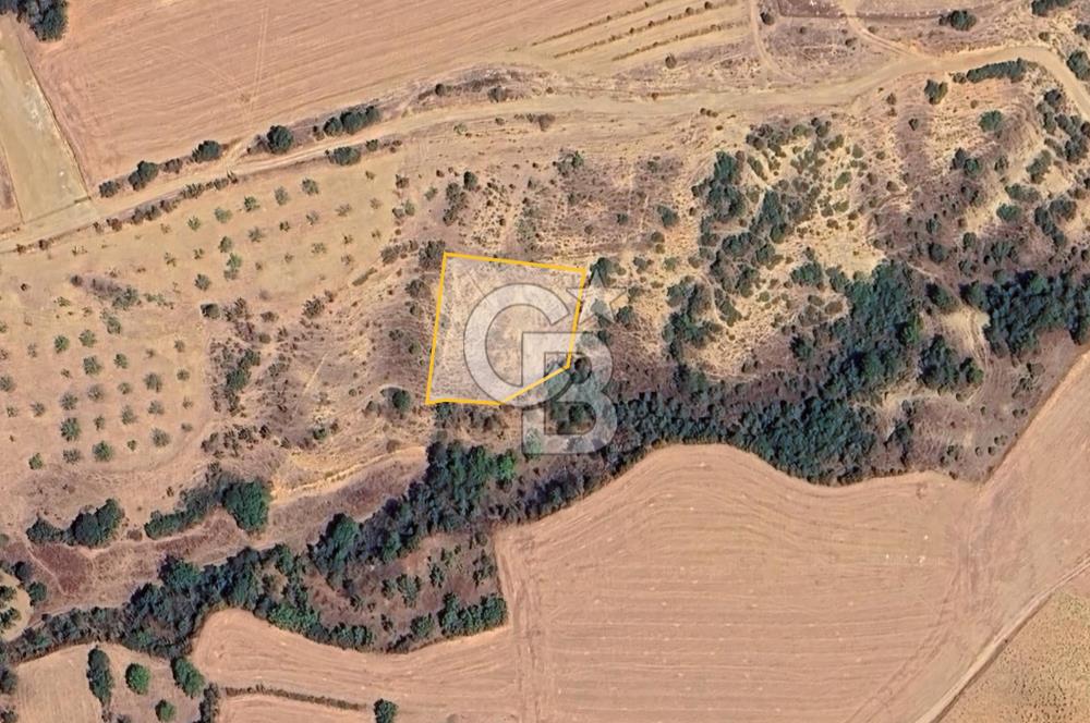 BURSA YENİŞEHİR ÇELEBİDE YATIRIMLIK 1.948 m² MÜSTAKİL BAĞ