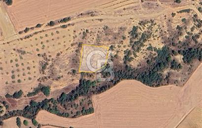 BURSA YENİŞEHİR ÇELEBİDE YATIRIMLIK 1.948 m² MÜSTAKİL BAĞ