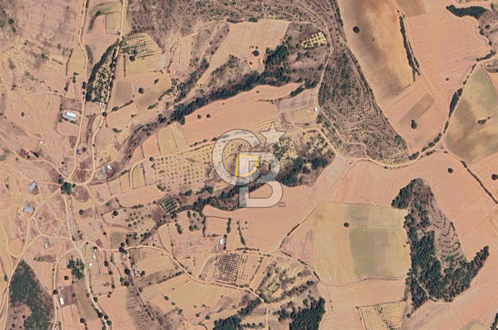 BURSA YENİŞEHİR ÇELEBİDE YATIRIMLIK 1.948 m² MÜSTAKİL BAĞ