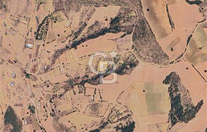 BURSA YENİŞEHİR ÇELEBİDE YATIRIMLIK 1.948 m² MÜSTAKİL BAĞ