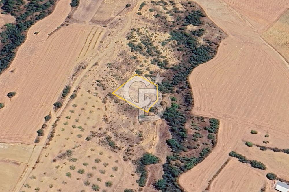 BURSA YENİŞEHİR ÇELEBİDE YATIRIMLIK 1.948 m² MÜSTAKİL BAĞ