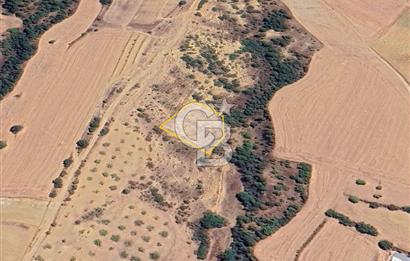 BURSA YENİŞEHİR ÇELEBİDE YATIRIMLIK 1.948 m² MÜSTAKİL BAĞ