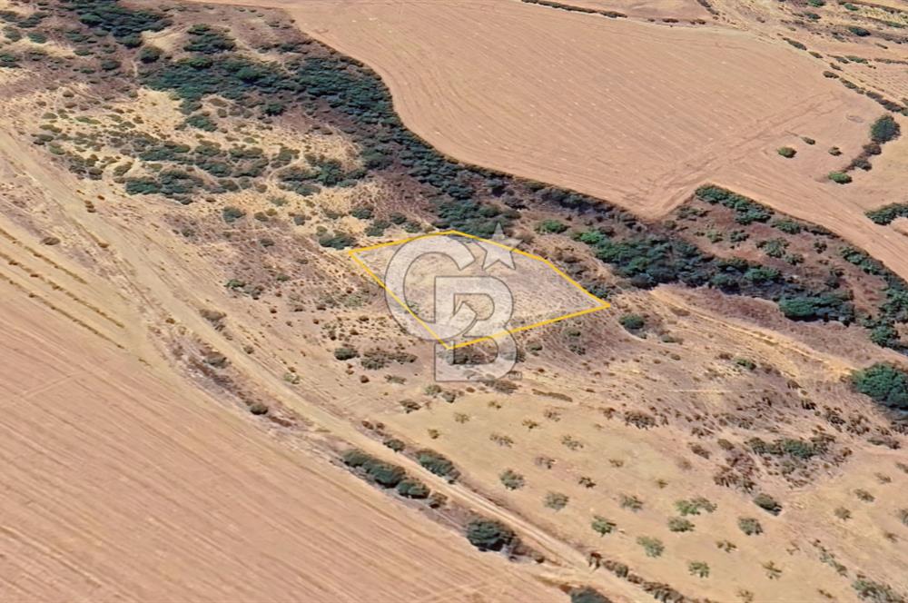 BURSA YENİŞEHİR ÇELEBİDE YATIRIMLIK 1.948 m² MÜSTAKİL BAĞ