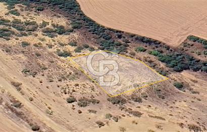 BURSA YENİŞEHİR ÇELEBİDE YATIRIMLIK 1.948 m² MÜSTAKİL BAĞ