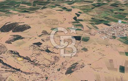 BURSA YENİŞEHİR ÇELEBİDE YATIRIMLIK 1.948 m² MÜSTAKİL BAĞ