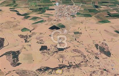 BURSA YENİŞEHİR ÇELEBİDE YATIRIMLIK 1.948 m² MÜSTAKİL BAĞ