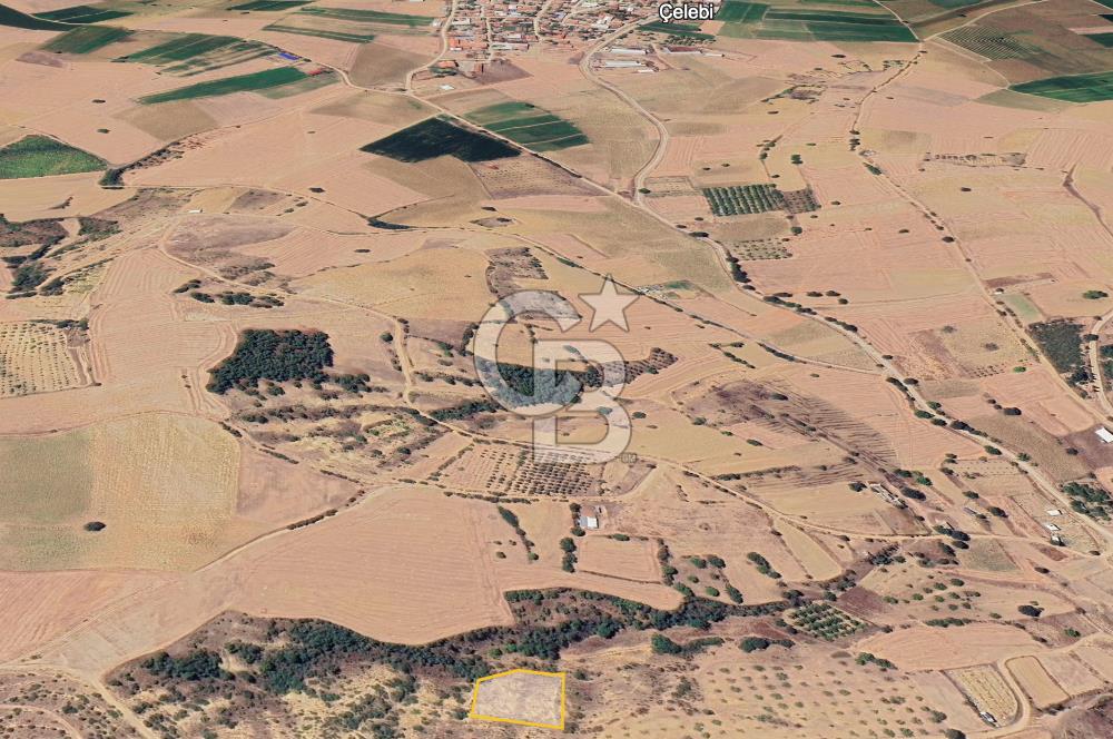 BURSA YENİŞEHİR ÇELEBİDE YATIRIMLIK 1.948 m² MÜSTAKİL BAĞ