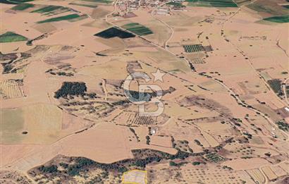 BURSA YENİŞEHİR ÇELEBİDE YATIRIMLIK 1.948 m² MÜSTAKİL BAĞ