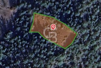 BİLECİK GÖLPAZARI YATIRIMLIK 1.450 m² STRATEJİK TARLA - 1 - 344778