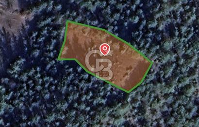 BİLECİK GÖLPAZARI YATIRIMLIK 1.450 m² STRATEJİK TARLA