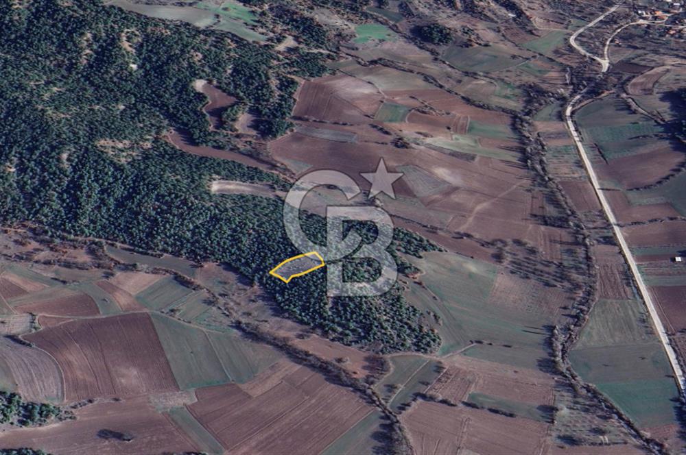 BİLECİK GÖLPAZARI YATIRIMLIK 1.450 m² STRATEJİK TARLA