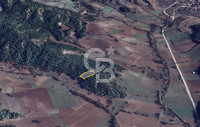 BİLECİK GÖLPAZARI YATIRIMLIK 1.450 m² STRATEJİK TARLA