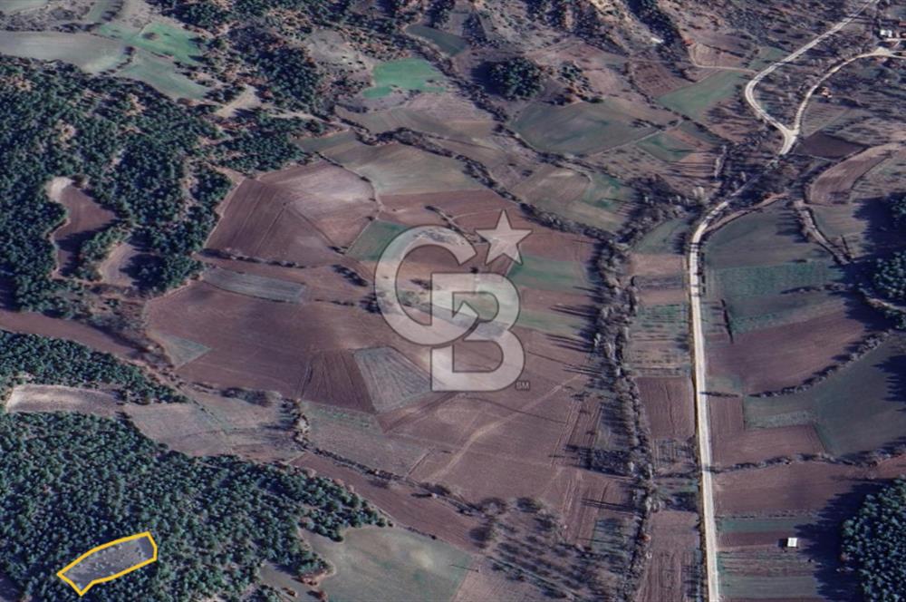 BİLECİK GÖLPAZARI YATIRIMLIK 1.450 m² STRATEJİK TARLA