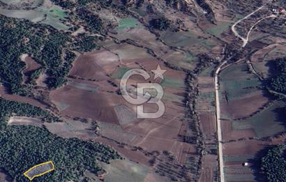 BİLECİK GÖLPAZARI YATIRIMLIK 1.450 m² STRATEJİK TARLA