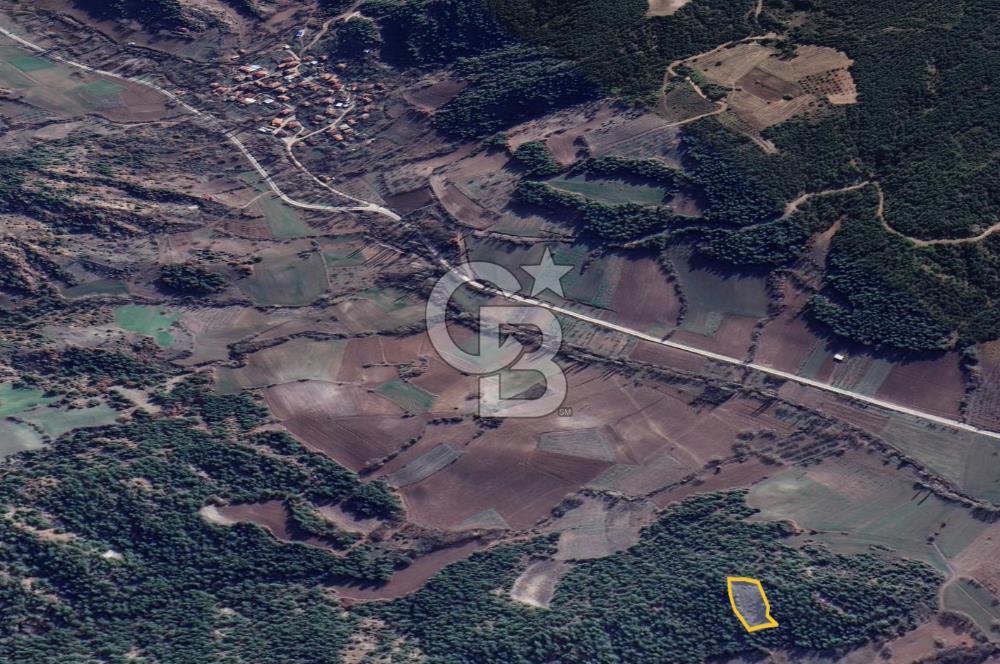 BİLECİK GÖLPAZARI YATIRIMLIK 1.450 m² STRATEJİK TARLA