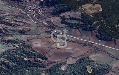 BİLECİK GÖLPAZARI YATIRIMLIK 1.450 m² STRATEJİK TARLA