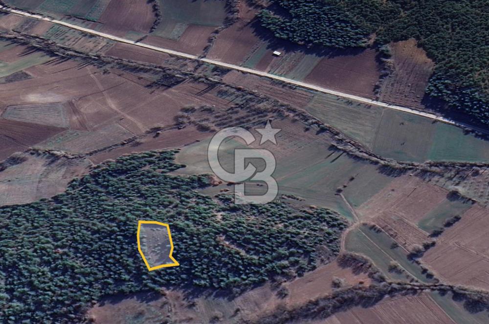 BİLECİK GÖLPAZARI YATIRIMLIK 1.450 m² STRATEJİK TARLA