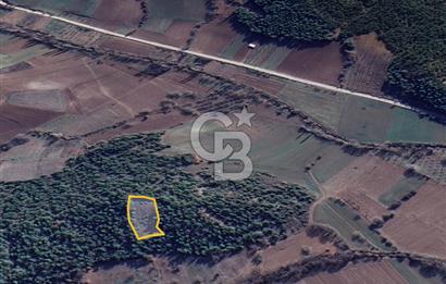 BİLECİK GÖLPAZARI YATIRIMLIK 1.450 m² STRATEJİK TARLA