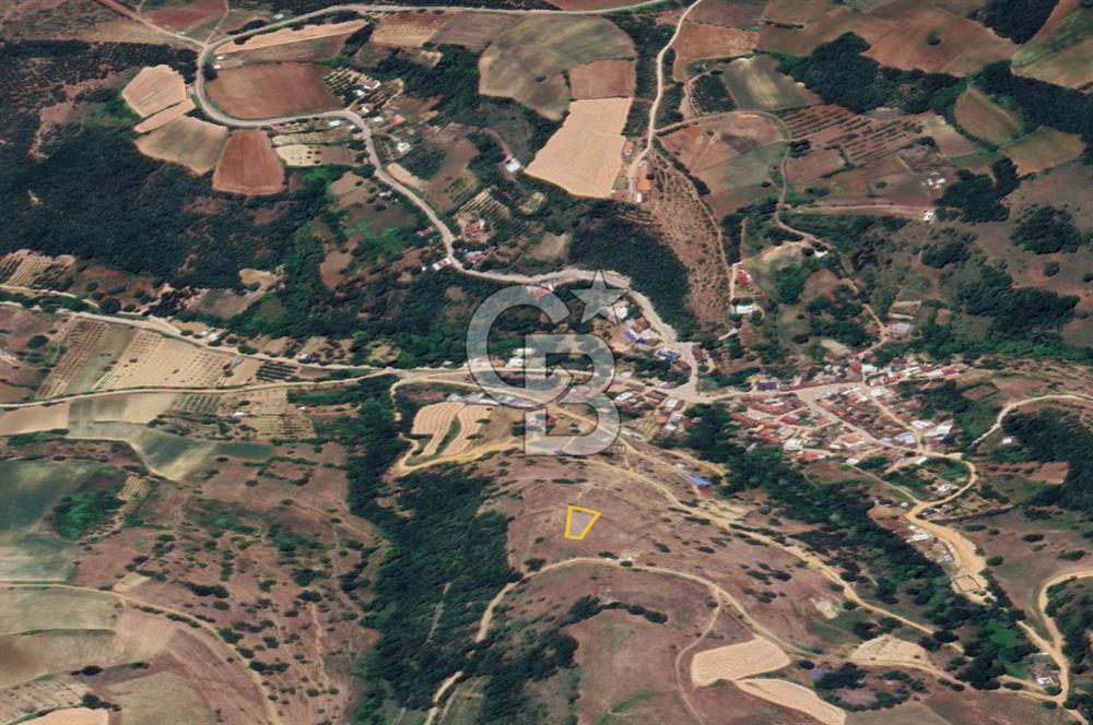 Bursa İnegöl Yatırımlık Müstakil Parsel 957 m² Fırsat