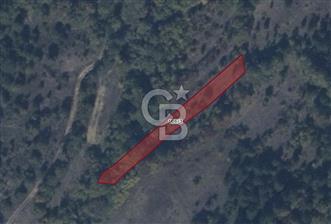 BİLECİK GÖLPAZARI YATIRIMLIK & HOBİYE UYGUN 1.056 m² BAHÇE - 1 - 344777