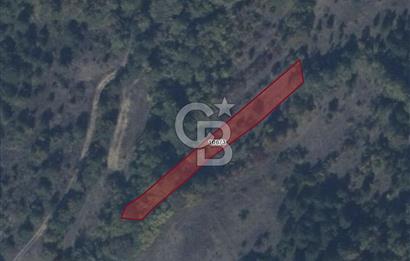 BİLECİK GÖLPAZARI YATIRIMLIK & HOBİYE UYGUN 1.056 m² BAHÇE