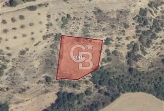 BURSA YENİŞEHİR ÇELEBİDE YATIRIMLIK 1.948 m² MÜSTAKİL BAĞ - 1 - 344775