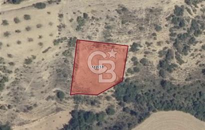 BURSA YENİŞEHİR ÇELEBİDE YATIRIMLIK 1.948 m² MÜSTAKİL BAĞ