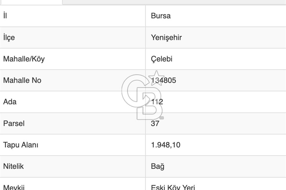 BURSA YENİŞEHİR ÇELEBİDE YATIRIMLIK 1.948 m² MÜSTAKİL BAĞ