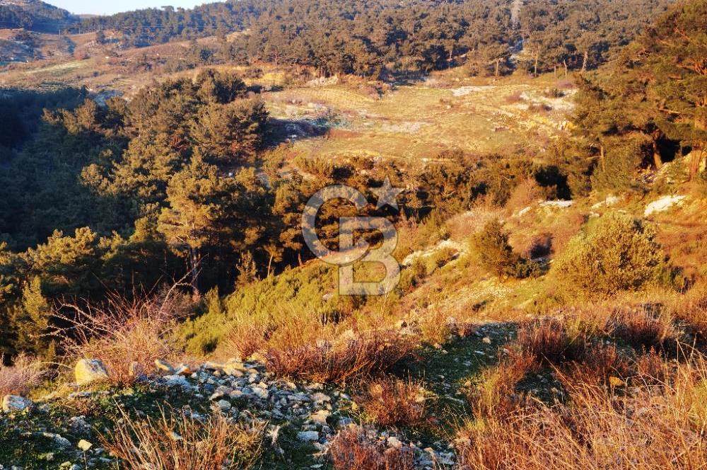 Karabağlar Kavacık'ta konut + ticari yapı kayıt belgeli satılık bağ