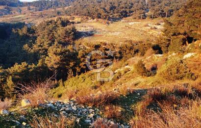 Karabağlar Kavacık'ta konut + ticari yapı kayıt belgeli satılık bağ