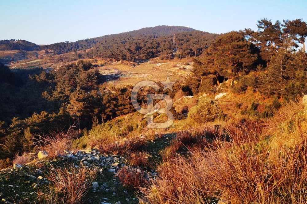 Karabağlar Kavacık'ta konut + ticari yapı kayıt belgeli satılık bağ