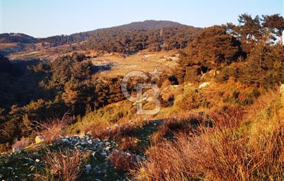 Karabağlar Kavacık'ta konut + ticari yapı kayıt belgeli satılık bağ