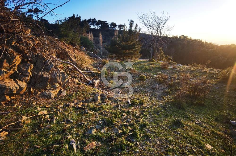 Karabağlar Kavacık'ta konut + ticari yapı kayıt belgeli satılık bağ