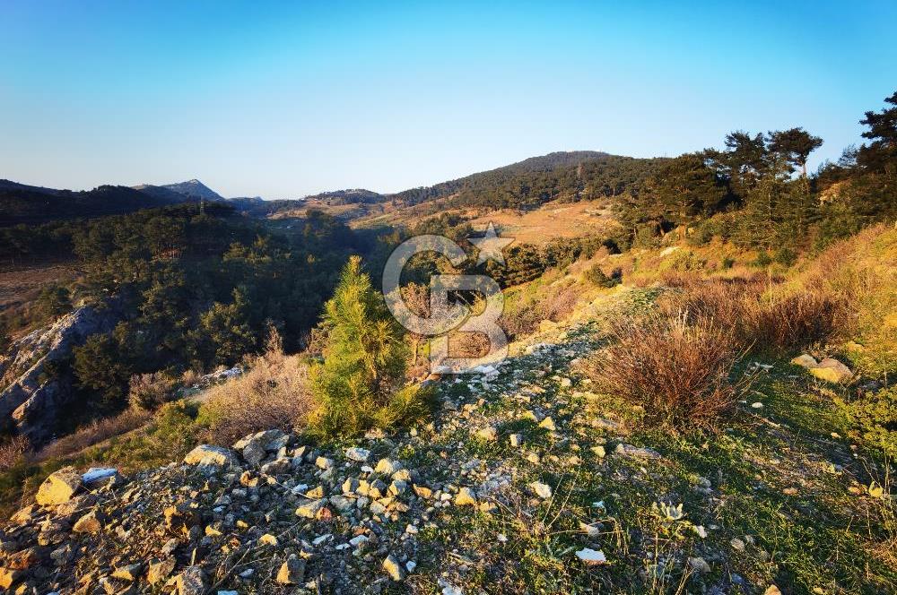 Karabağlar Kavacık'ta konut + ticari yapı kayıt belgeli satılık bağ