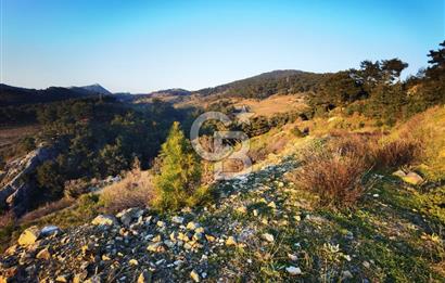 Karabağlar Kavacık'ta konut + ticari yapı kayıt belgeli satılık bağ