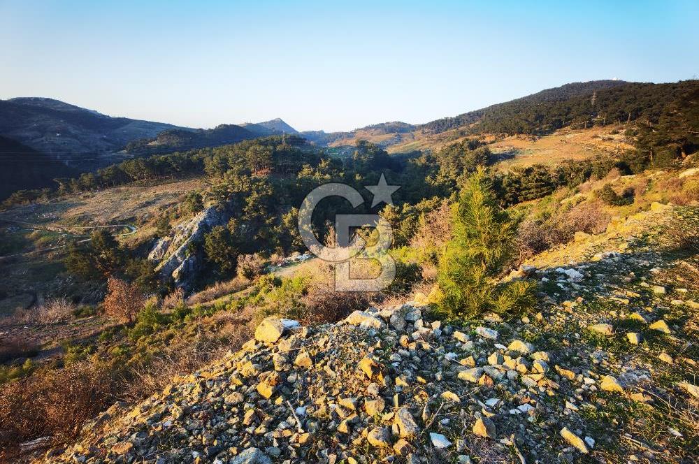 Karabağlar Kavacık'ta konut + ticari yapı kayıt belgeli satılık bağ