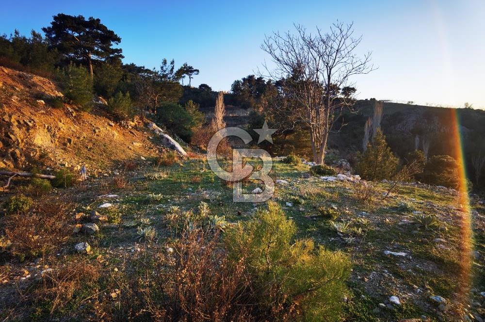 Karabağlar Kavacık'ta konut + ticari yapı kayıt belgeli satılık bağ