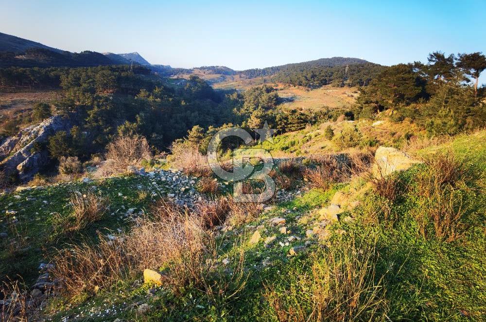 Karabağlar Kavacık'ta konut + ticari yapı kayıt belgeli satılık bağ