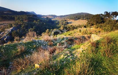 Karabağlar Kavacık'ta konut + ticari yapı kayıt belgeli satılık bağ