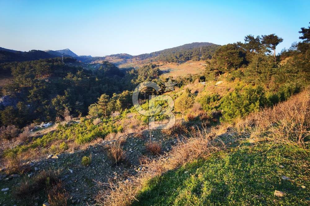 Karabağlar Kavacık'ta konut + ticari yapı kayıt belgeli satılık bağ