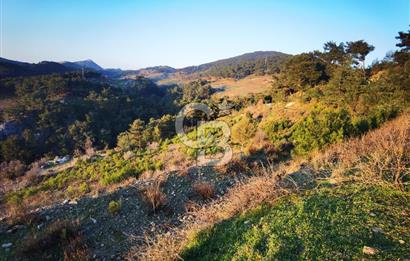 Karabağlar Kavacık'ta konut + ticari yapı kayıt belgeli satılık bağ