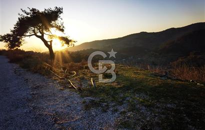 Karabağlar Kavacık'ta konut + ticari yapı kayıt belgeli satılık bağ