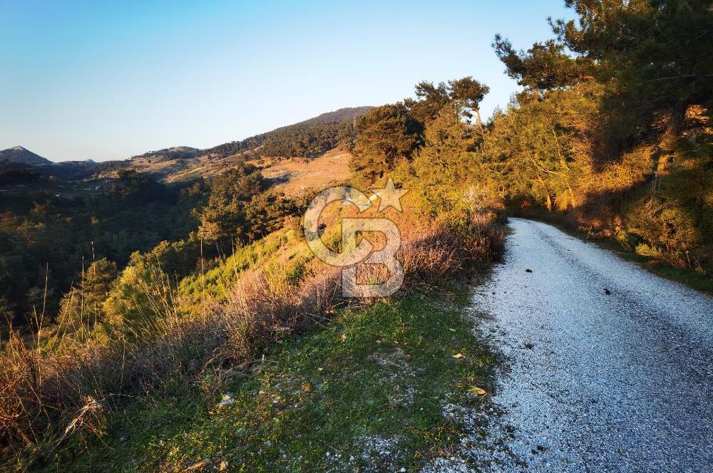 Karabağlar Kavacık'ta konut + ticari yapı kayıt belgeli satılık bağ