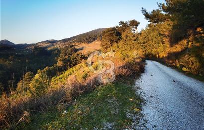 Karabağlar Kavacık'ta konut + ticari yapı kayıt belgeli satılık bağ