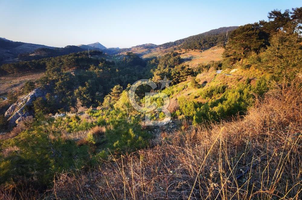 Karabağlar Kavacık'ta konut + ticari yapı kayıt belgeli satılık bağ