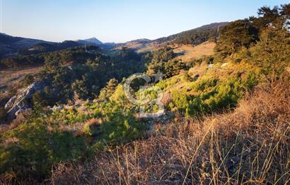Karabağlar Kavacık'ta konut + ticari yapı kayıt belgeli satılık bağ