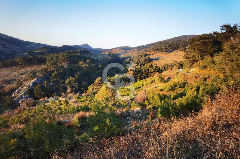 Karabağlar Kavacık'ta konut + ticari yapı kayıt belgeli satılık bağ