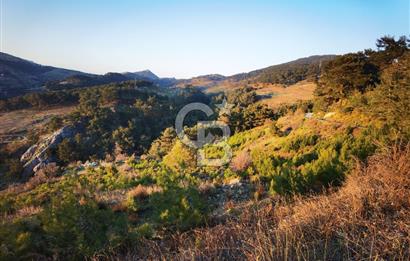 Karabağlar Kavacık'ta konut + ticari yapı kayıt belgeli satılık bağ