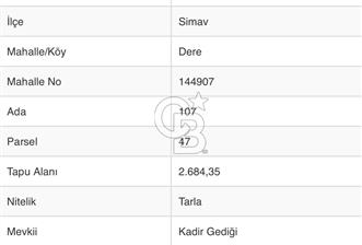 KÜTAHYA SİMAV'DA SATILIK TARLA YATIRIMA UYGUN FIRSAT! - 2 - 344740